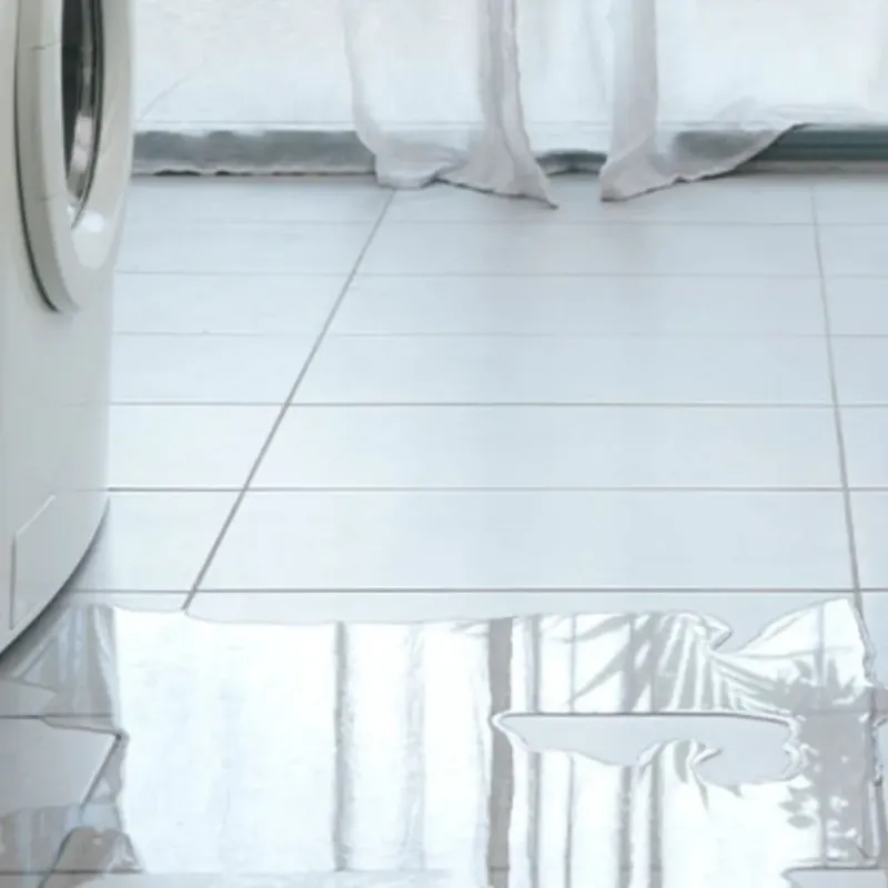 Appliance Leak Cleanup in Bandon, OR